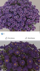 4D78FB07-9F12-40F7-A43C-6326DF7CF57D