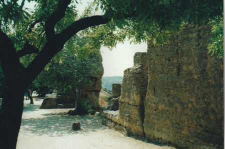 Agrigento. Valea Templelor