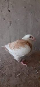 received_371680991566627
