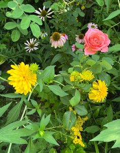 9DAFBA35-8916-49E8-94E7-0791342C541A