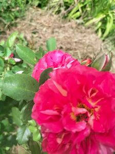 IMG20220713110357