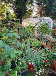 received_1808827235980308