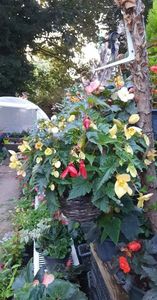 received_439982601354568