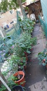 received_561435132382827