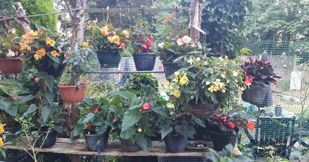 received_3348537908802890