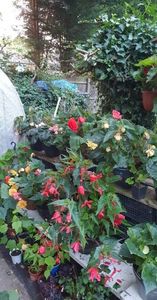 received_1064099000871533