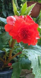 received_782621162866833