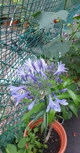 received_1096715907913994