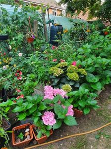 received_419864963246483