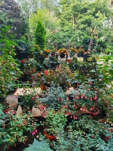 received_3142776595983231