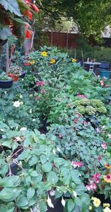 received_741235680432475