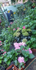 received_1232242914198728