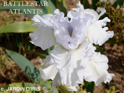 Battlestar Atlantis