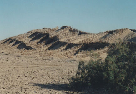 Deșertul de piatră