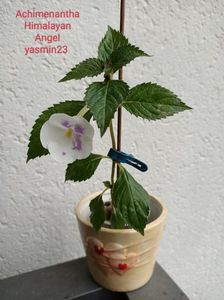 20.07.2022