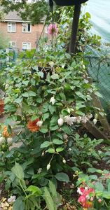 received_805152630847296