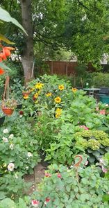 received_421759106580257