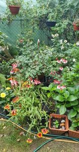 received_1571401923315814