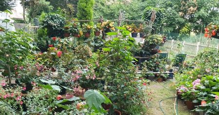 received_3166082470307901