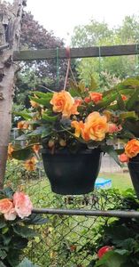 received_2162044250644772