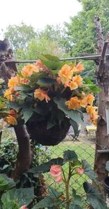 received_2016403185212781