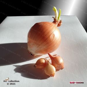 Baby-onions