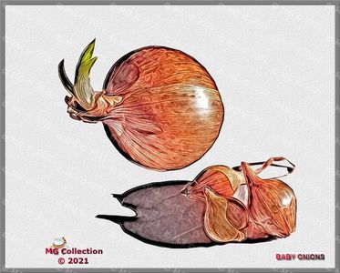 Baby onions 2