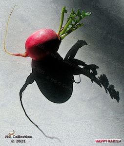 Happy radish