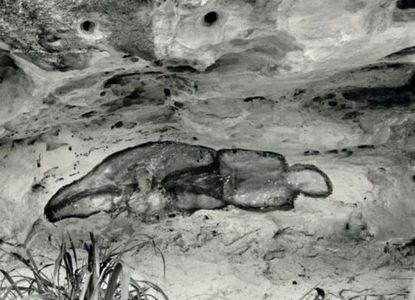 Ana Mendieta, La Vnus NegrA.