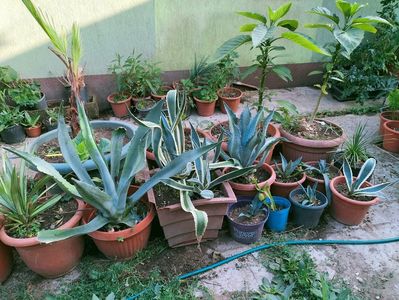 IMG20220728185109