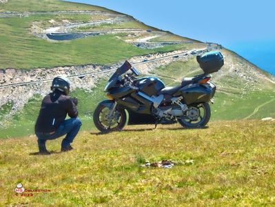 Transalpina motors