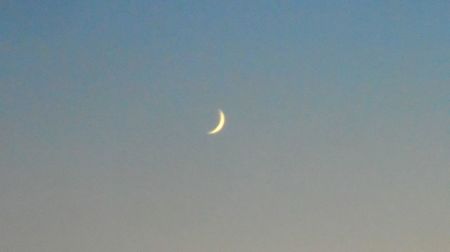 Luna noua in Leu; 31 iul. 2022
