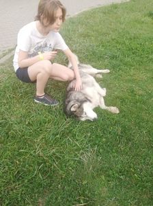 IMG-20220808-WA0146