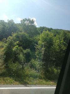 IMG-20220808-WA0008