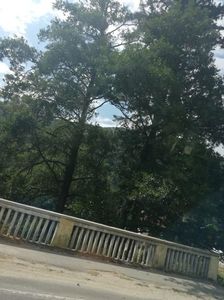 IMG-20220808-WA0010