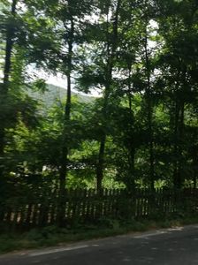 IMG-20220808-WA0011