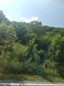 IMG-20220808-WA0013