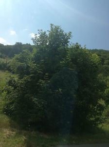 IMG-20220808-WA0014