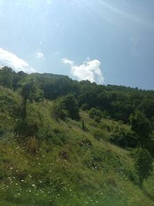 IMG-20220808-WA0015