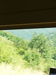 IMG-20220808-WA0019