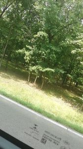 IMG-20220808-WA0030