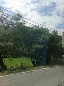 IMG-20220808-WA0031