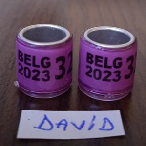 2023-BELG-fara talon....-1 leu