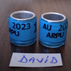 2023-AU- fara talon....-1 leu