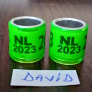 2023-NL-fara talon....-1 leu