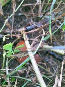 IMG20220810111902