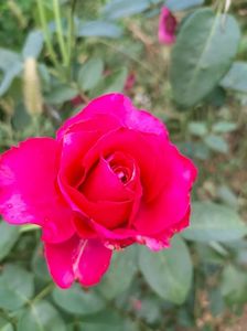IMG20220803185756