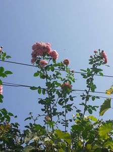20220812_101626(0)