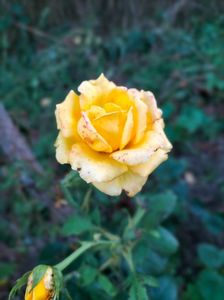 IMG20220816202021
