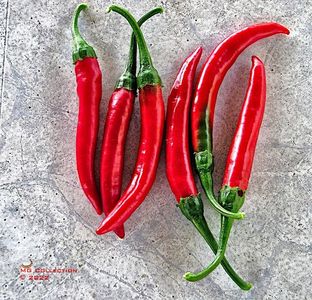 Ardei iuti-Red hot chilly peppers
